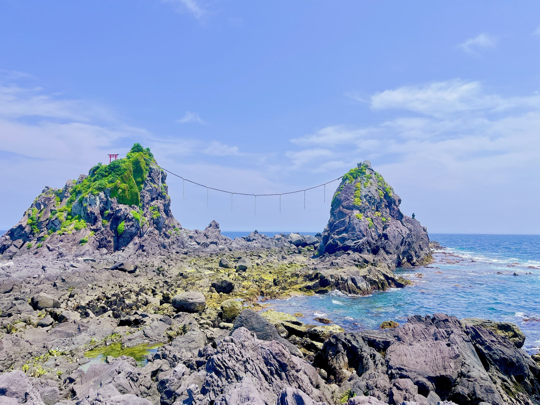 寄居 海いった 𓇼𓆡𓂃 𓈒𓏸アクションカメラ高すぎてiphone13防水ケースに入れて撮影したけどキレイでは 今年絶対沖縄いく心構えなので沖縄本島のシュノーケルスポットおすすめあったら教えて下さい シュノーケリング T Co Xeq07vl2h1 寄居 海いった 𓇼𓆡𓂃 𓈒𓏸アクションカメラ高すぎてiphone13防水ケースに入れて撮影したけどキレイでは 今年絶対沖縄いく心構えなので沖縄本島のシュノーケルスポットおすすめあったら教えて下さい シュノーケリング T Co Xeq07vl2h1