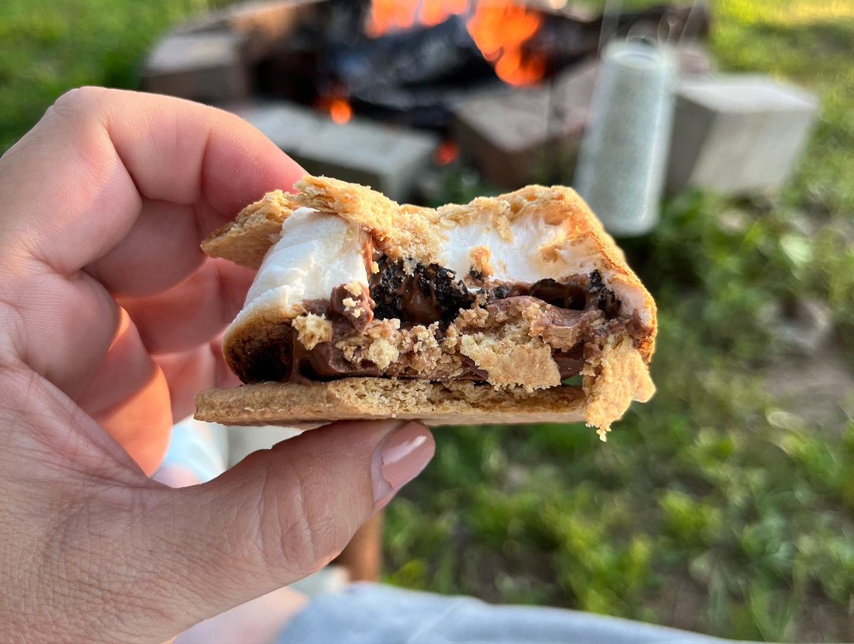 AmyZQuinn's tweet photo. Smiling dog trying to charm his way into a s’more #noneforyou https://t.co/aF1ti3itep