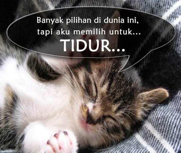jite_royid's tweet photo. Tidur dulu pagi sekolah https://t.co/6YsmTEu0EH