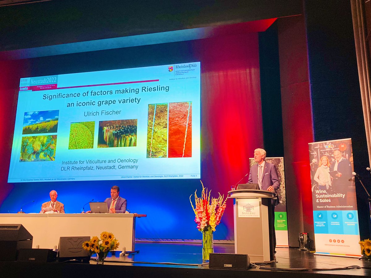 Riesling ist Riesling ist Unsinn - Riesling is Riesling is Nonsense. Ulrich Fischer from DLR Rheinpfalz about a grape variety with a lot of possibilities.