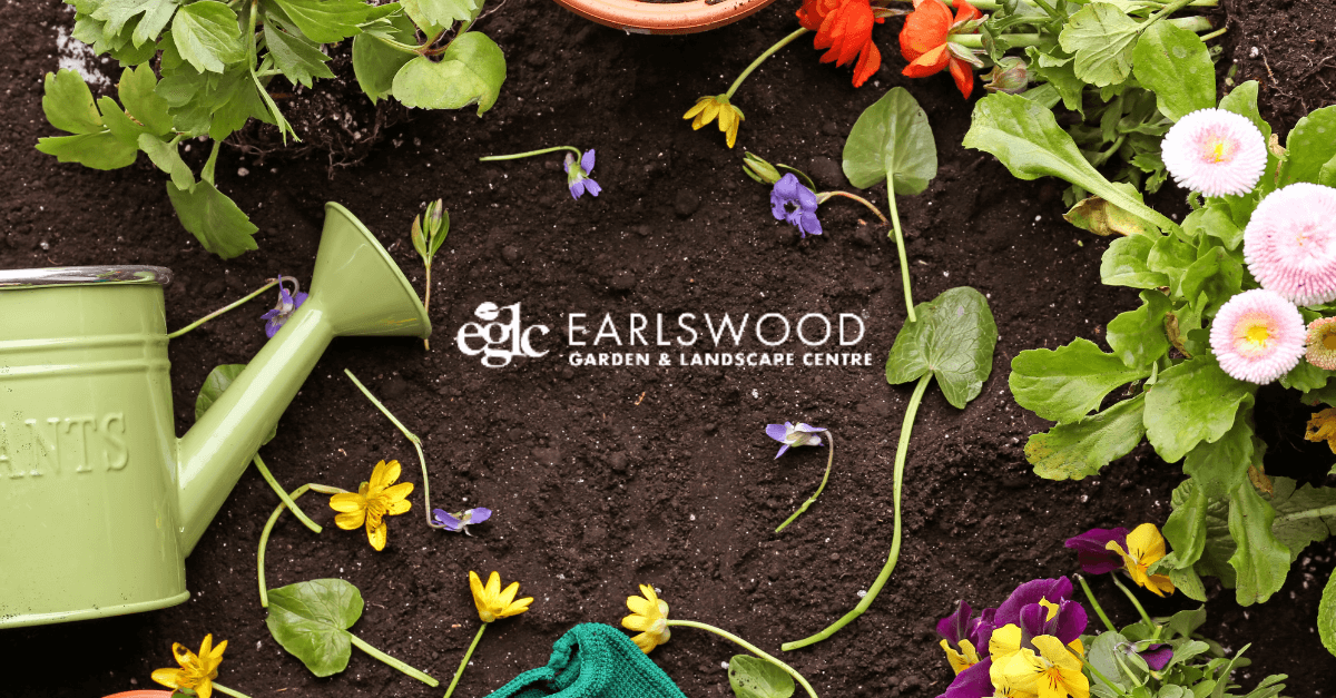 Do you love #Gardening? 
We have everything to help you make the most of your #Garden this summer #BrumHour, from bedding flowers to all your seasonal plants, from decking to all the tools you'll need, visit us or order online at earlswoodglc.co.uk or come and see us 🌻