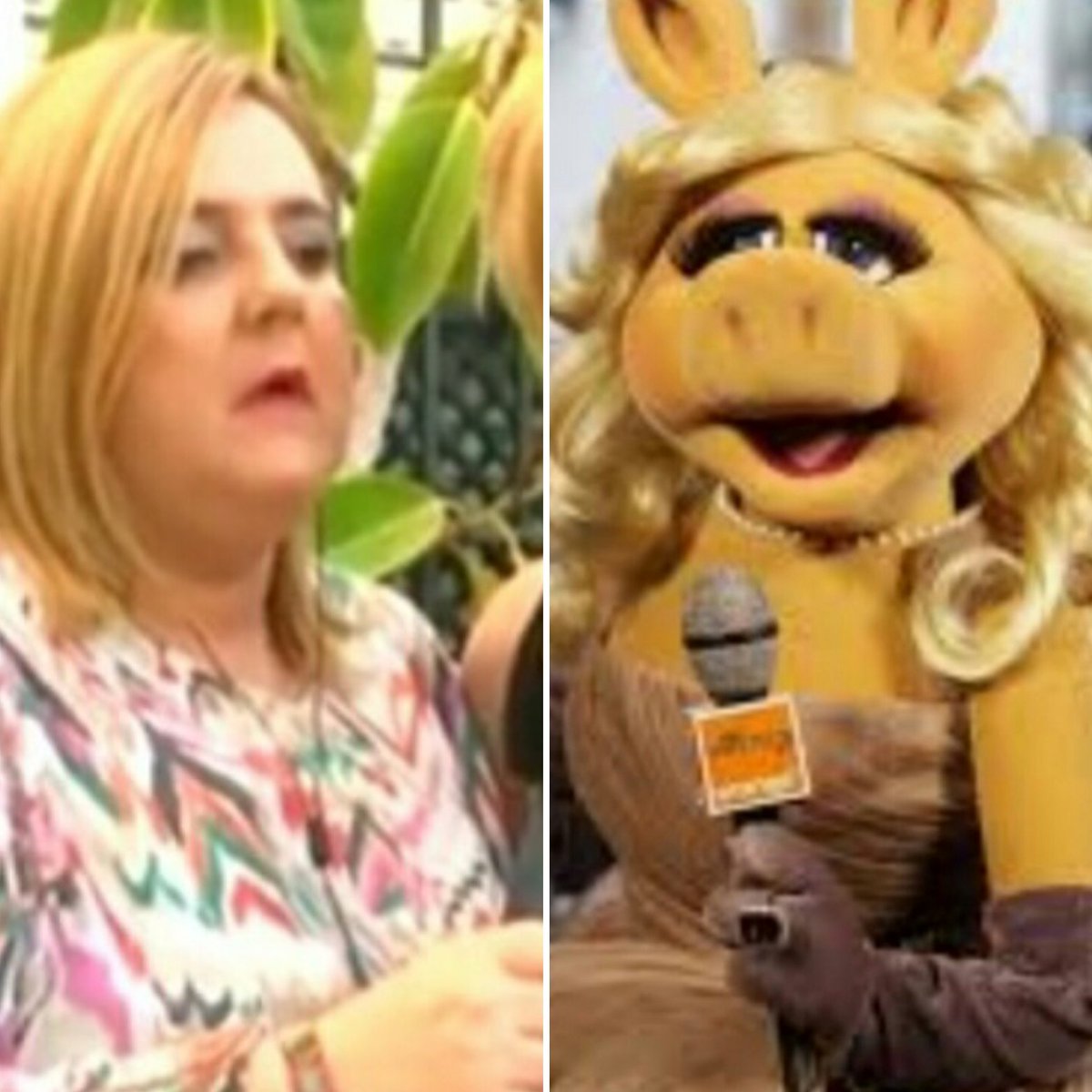 Patxo1492's tweet image. 