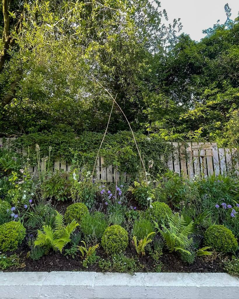 em_weir's tweet photo. I’ve learned a lot since 2017. Finally, the main border is taking shape 🥳
.
.
.
.
.#mygarden #mygardentoday #gardenbeforeandafter #nihomes #gardeningismytherapy #mygardenlife #gardenersworld #aseasonalshift #ayearinflowers #ihavethisthingwithflowers #nigardens #girlswhogarde… https://t.co/qvMESgqXlo