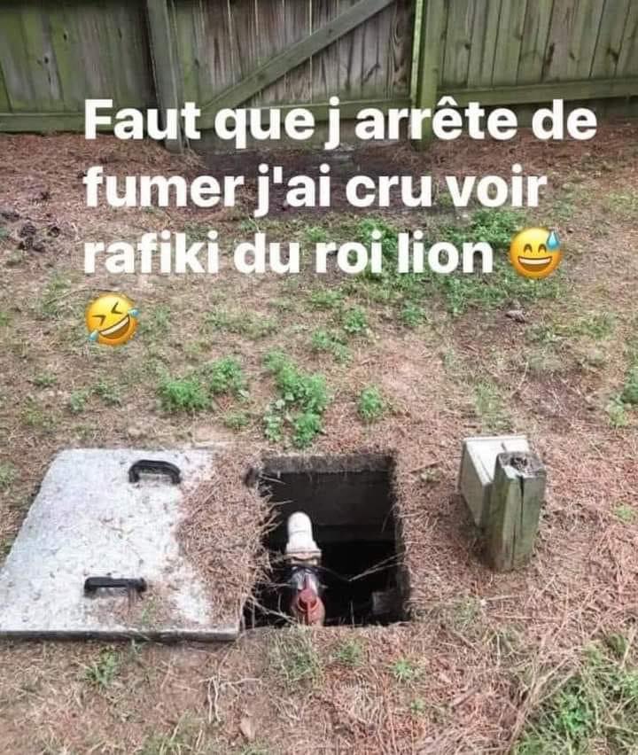 C’est tout pour ce soir je crois 😂