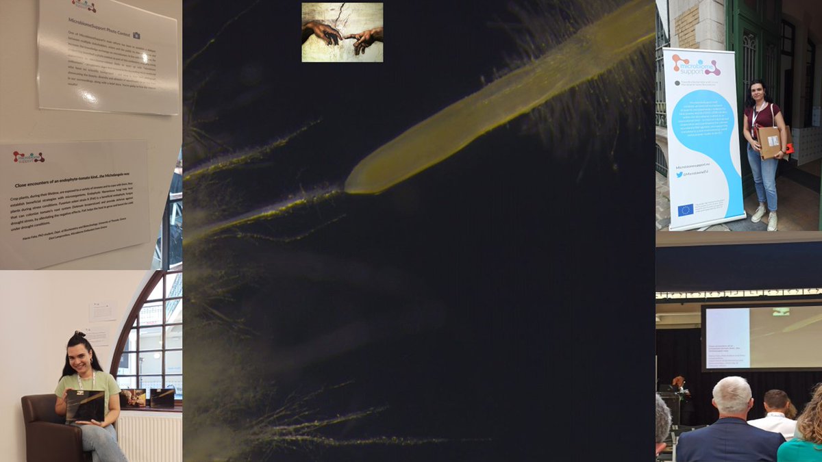 It was really an honor to attend <a href="/MicrobiomeEU/">MicrobiomeSupport Association</a> final conference and be one of the top 10 teams in the MicrobiomeSupport Photo contest. 
Thank you <a href="/MicrobiomeEU/">MicrobiomeSupport Association</a> for the generous travel grant!
<a href="/MicrobiomeEU/">MicrobiomeSupport Association</a> 
<a href="/lab_plant_env/">PlantEnvLab</a> 
<a href="/PopyPapad/">Popy Papadopoulou</a> 
<a href="/biobio_uth/">BioBio_UTH</a> 
#MicrobiomePathways 
#PhDLife