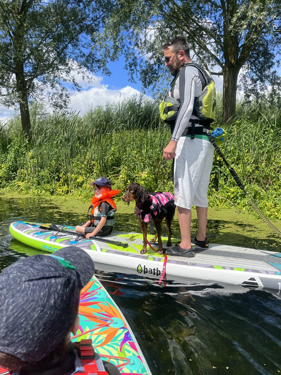 adventure_SW's tweet image. Lovely family #pootle from the @HennySwan on the river stour. With a spot of lunch too :-) the #suppup’s first trip out. She did well! @hathaboards #sup #paddleboard
