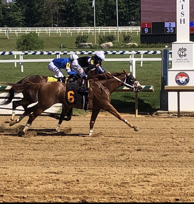 Maryland Horsemen tweet media