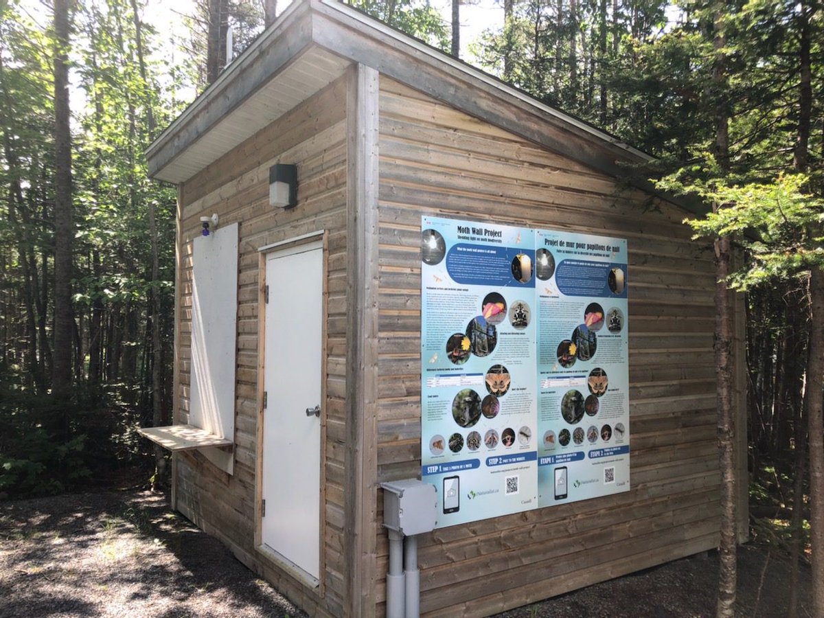 JoeBowdenNL's tweet photo. Thanks to a great collaboration w/ @NRCan  @ParksCanada_NS @ParksCanadaPEI @ParksCanadaNL @FundyNP @KouchibouguacNP @ParksCanada, we have now rolled out the Mothwall Project to all National Parks in Atlantic Canada. Ask about them in the campgrounds! #forestmoths https://t.co/pzAeuzWvqu