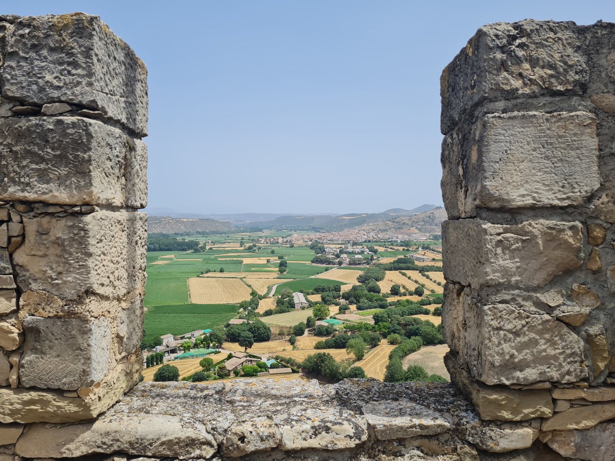 Laia Corbella tweet media