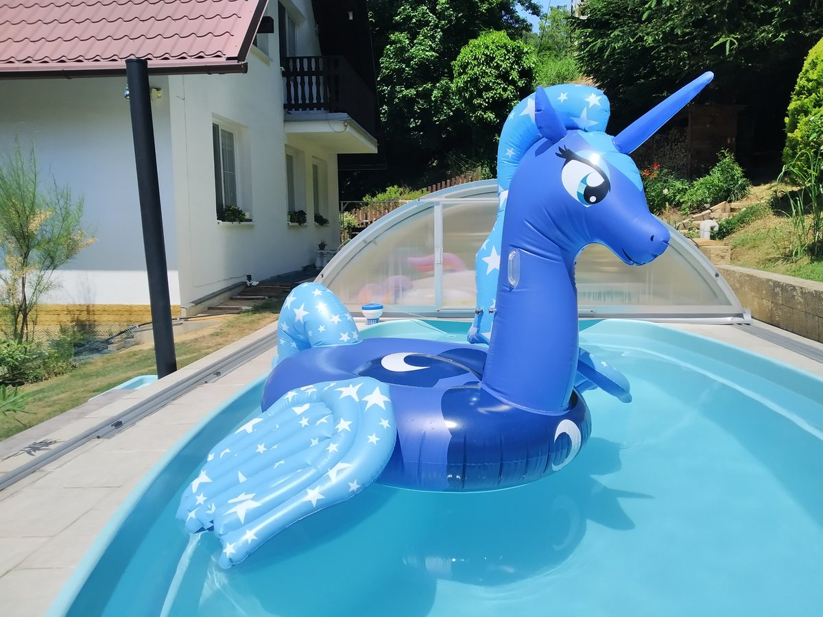 Time to take Princess Luna in to the pool

#princessluna #luna #mlp #inflatable #inflatableunicorn #inflatablepony #mylittlepony #pony #alicorn #pooltoy #poolfloat