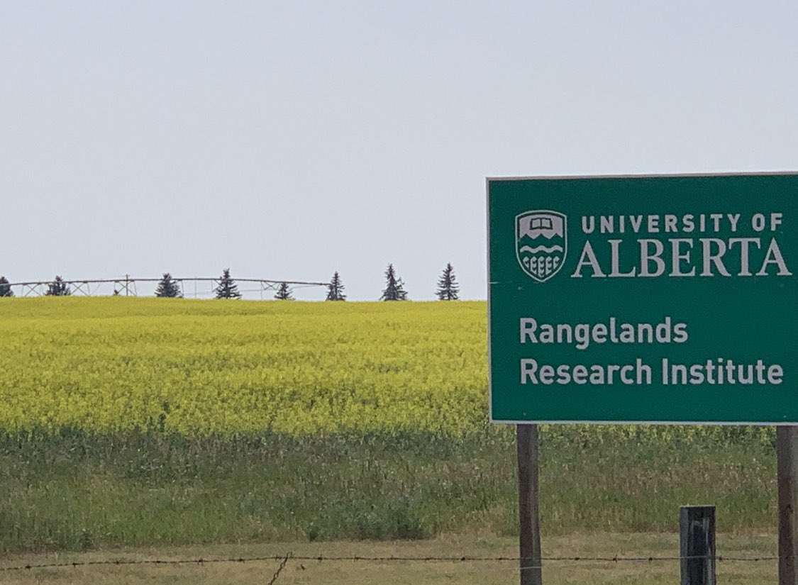 Mattheis Ranch is a remarkable location for @UofAALES @UAlberta teaching & research! Topics: #carbonsequestration #rangescience #livestockmanagement #nativepollinators ++ (check @UAlbertaRRI) BTW…love your brother Neil’s @FoothillsForage hat! #ualberta #abpse #cdnag