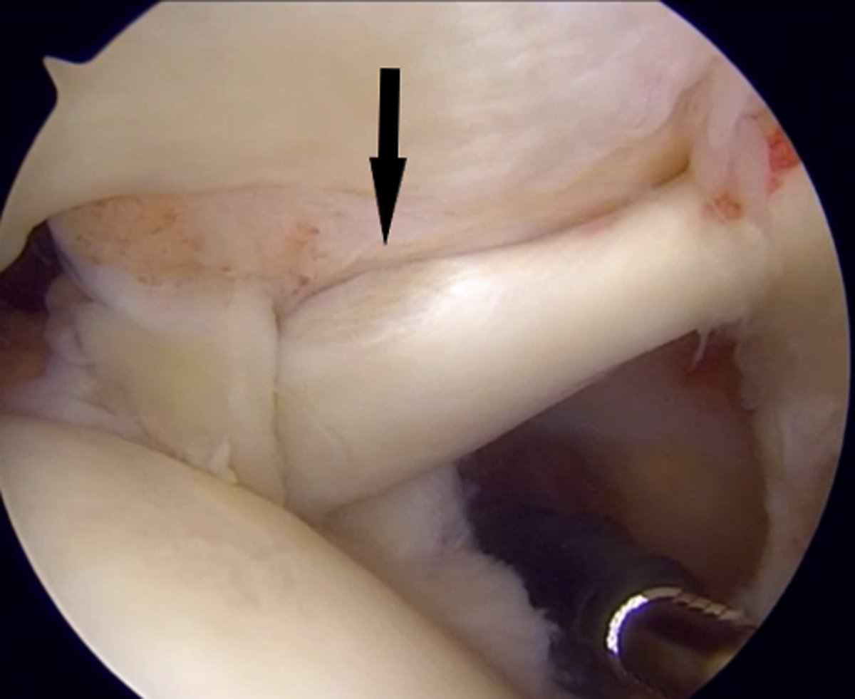 Arthroscopy Journal tweet media