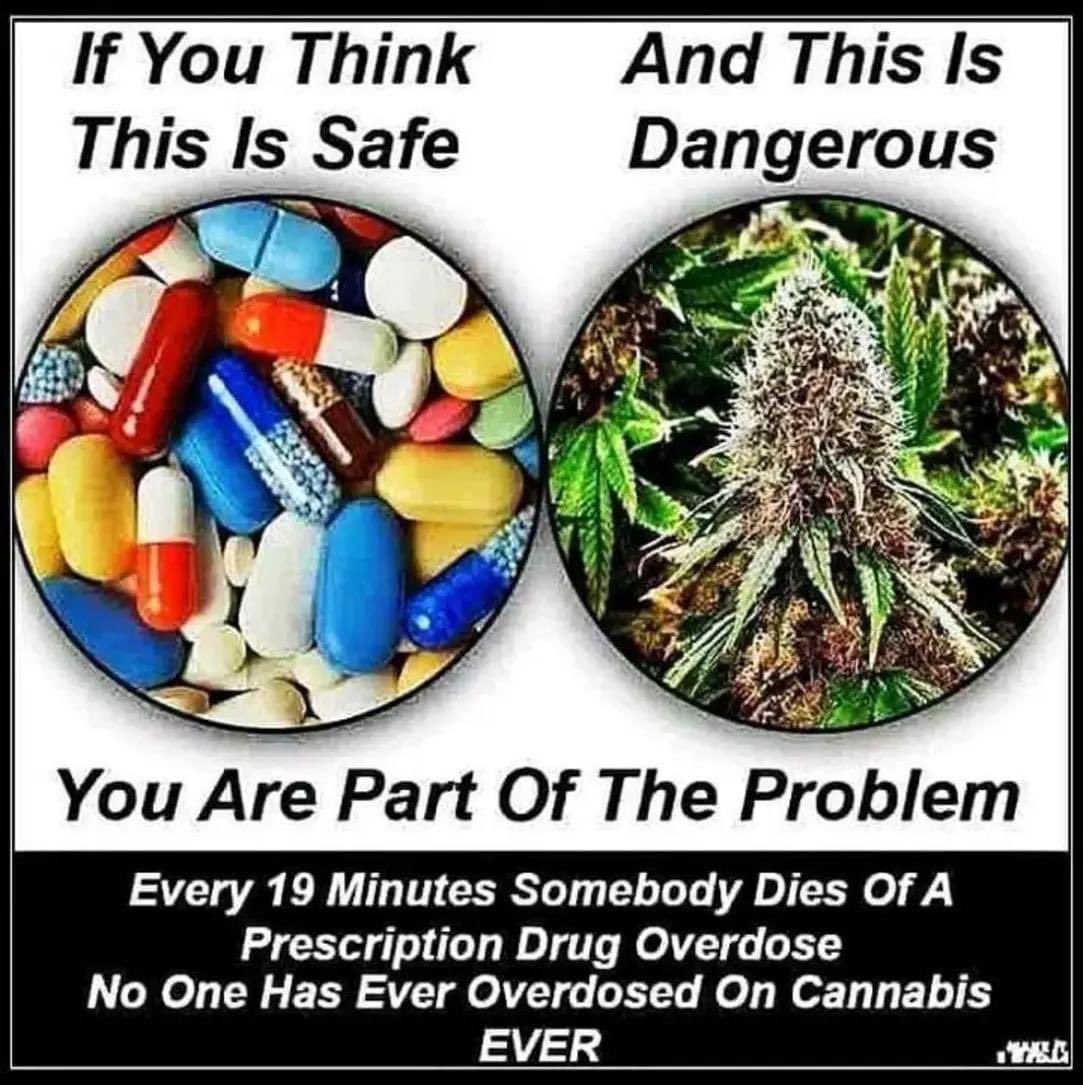 JoyGator87's tweet photo. #LegalizeIt #dontbepartoftheproblem https://t.co/r23B8lPqcE