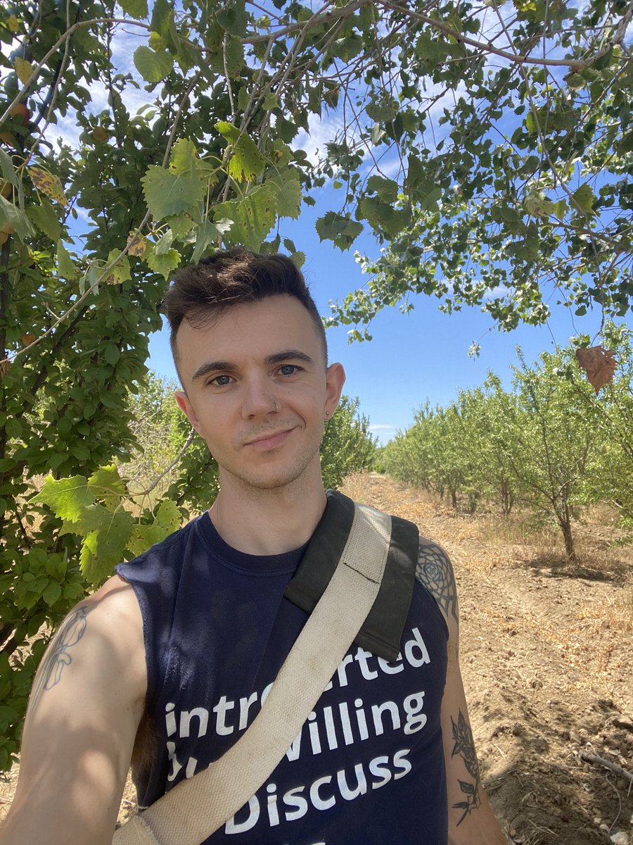 meet me in the orchard