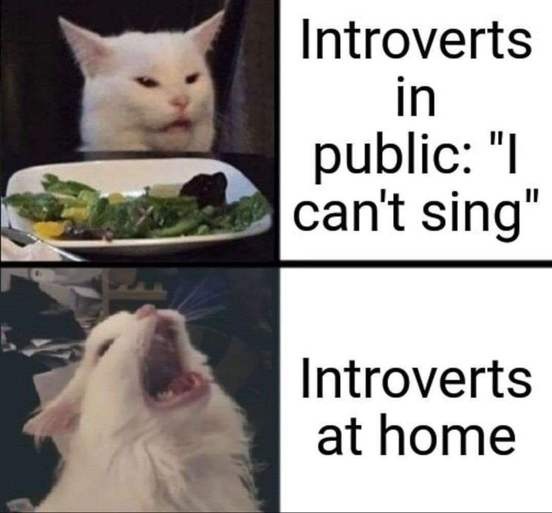 EthanTheRaccy's tweet photo. Literally me lmao https://t.co/wthEDYNnCf