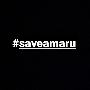 SaveAmaru___'s tweet photo. #saveamaru https://t.co/t2AOEsMM2P