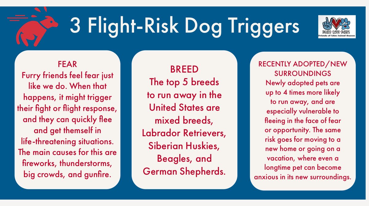EdenDogRescue's tweet photo. A staggering amount of dogs 🐕 and cats 🐈 go missing each year – in fact 1️⃣ out of every 3️⃣ pets will go missing at some point in their life.
Information courtesy of @PetHub
#petsafetytips #dogsafety #catsafety #petanxiety #havefunbesafe #dogshatefireworks https://t.co/6N7C0ZUBhF