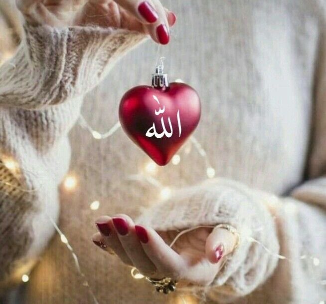 روآيــهہ tweet media