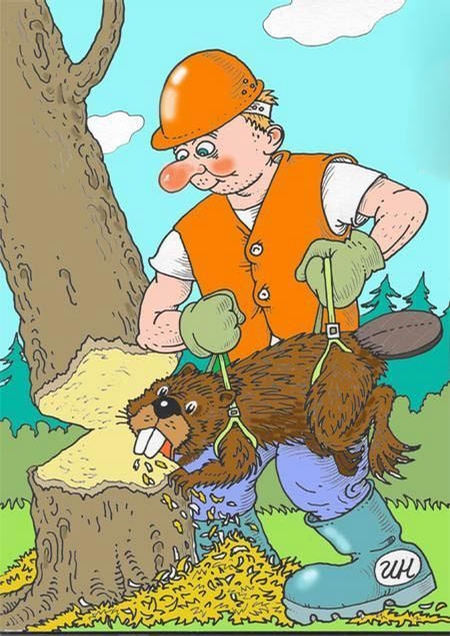 StillmansTree's tweet image. &quot;At Stillman&apos;s we have &quot;grown&quot; our business since 2002 by arriving with a good attitude, a smile and doing competent work.&quot; Visit wfy.ai/3mKWjyT
  #StillmensTreeService #TreeTrimmer #TreeRemoval #TreeCutting