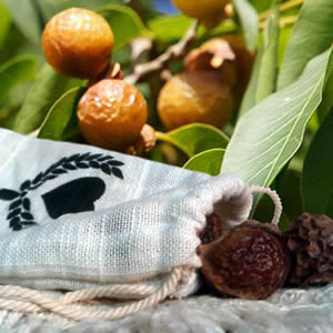 soap2nuts's tweet image. 4 th of July Sale - Save up to 50% - mailchi.mp/8a333d283f91/v…