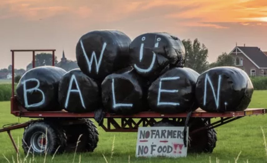 Ja, dat zijn jullie.