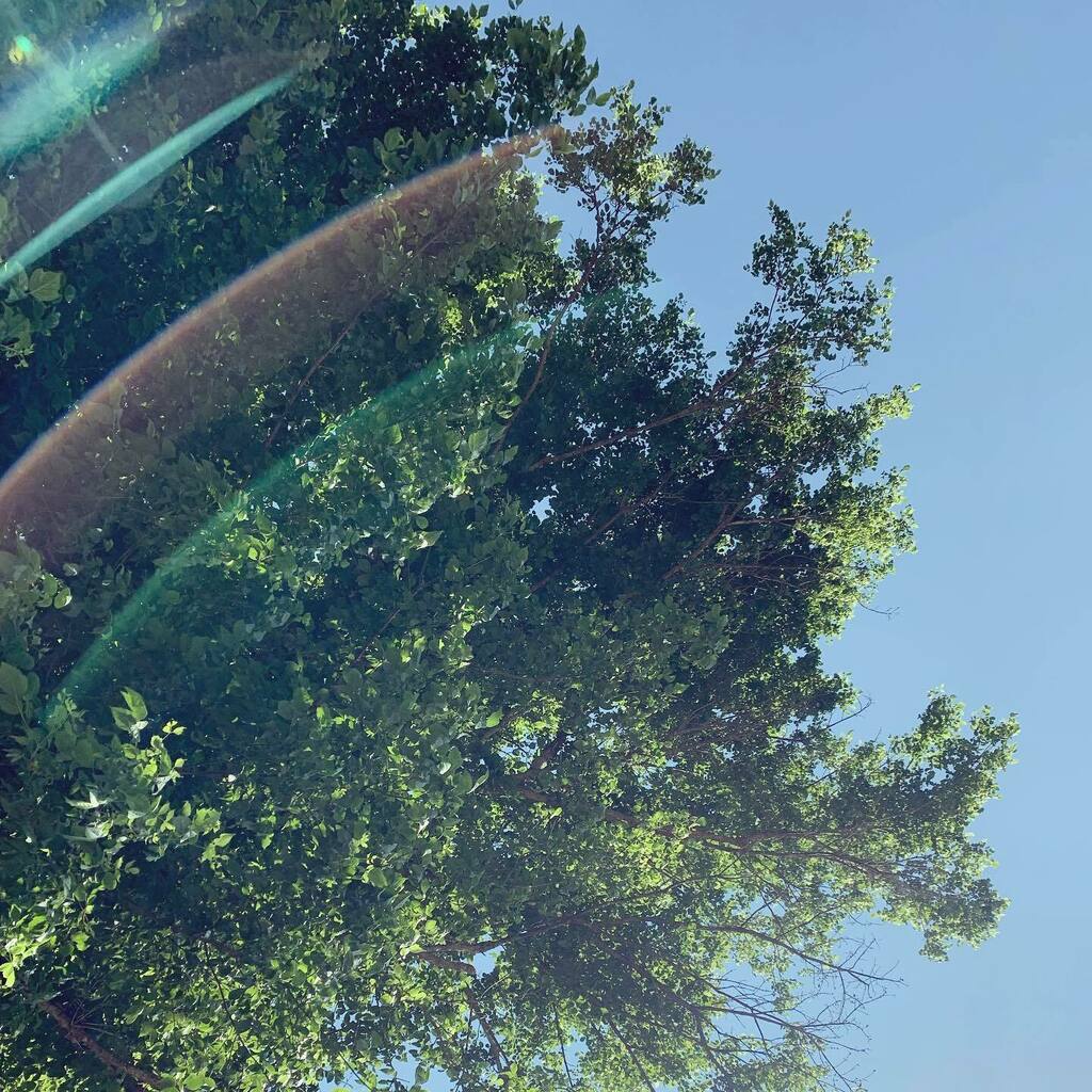 PlainJanell's tweet photo. Looking up, and holding my breath. https://t.co/3UoRlNBLZB https://t.co/NKtPKHTxgt
