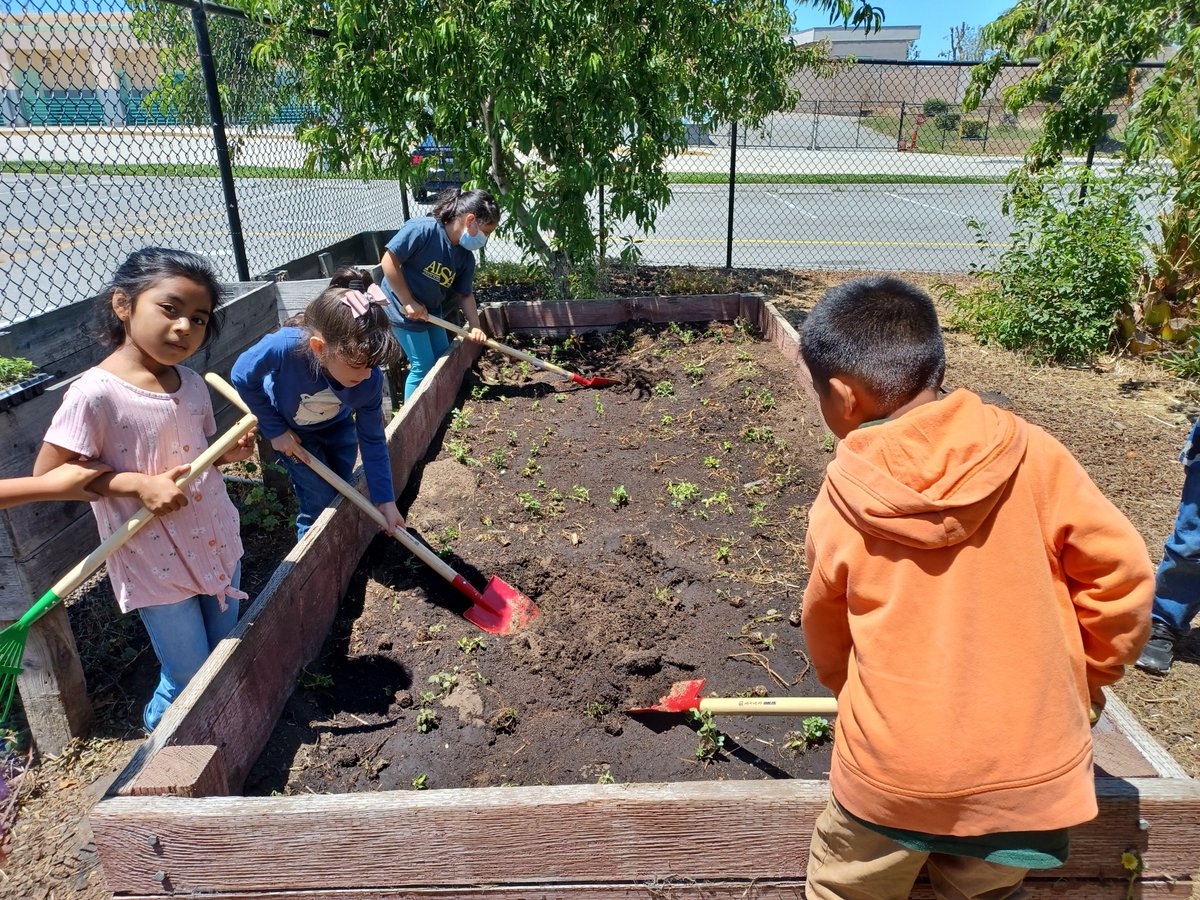 Space Camp @AlisalUSD- Plants Using our senses to explore our school garden.