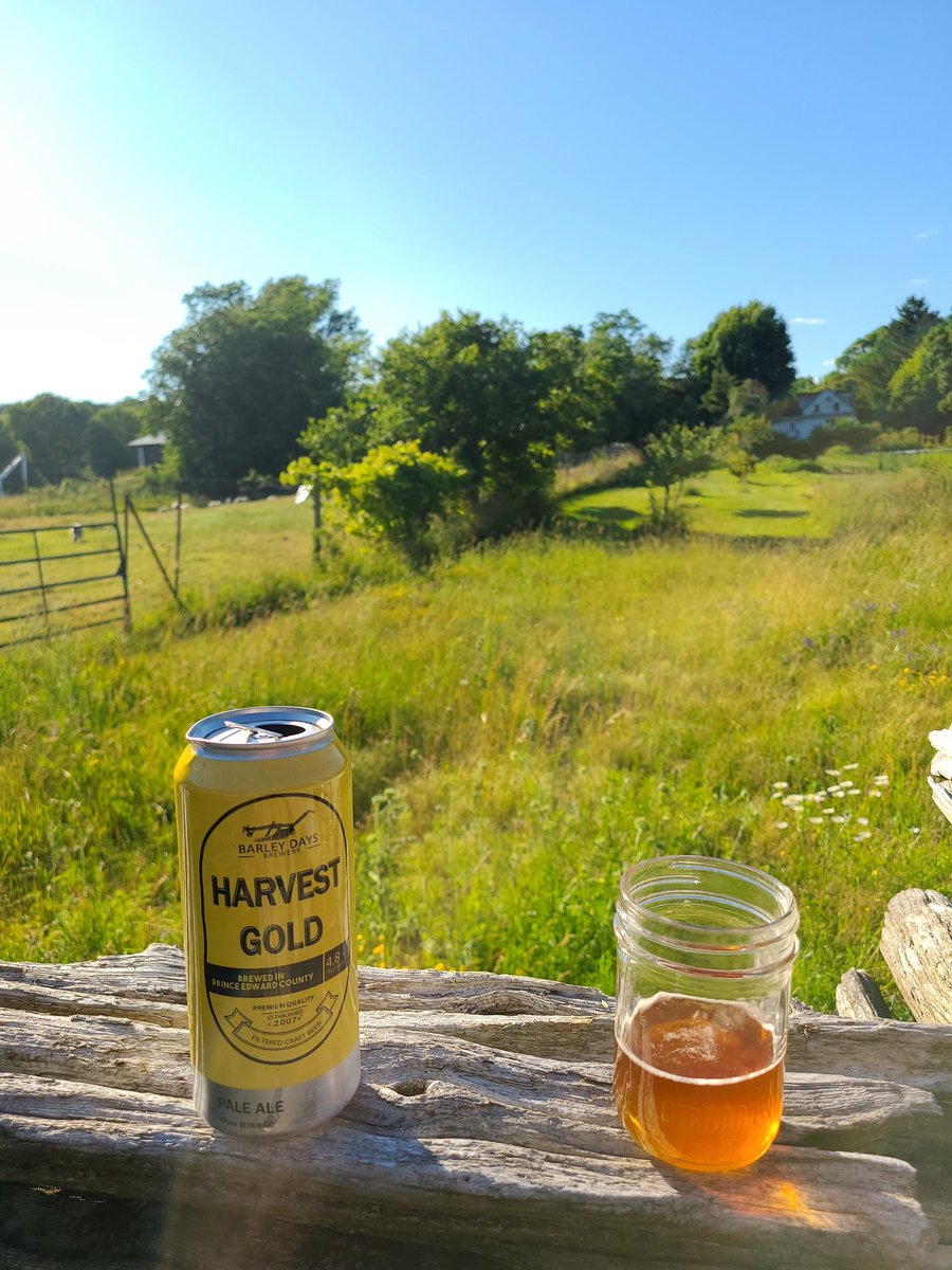 bglwieser's tweet photo. Thanks #barleydaysbrewery. Hits the spot on a sunny #pecsunday afternoon. https://t.co/zexkLCK0F0