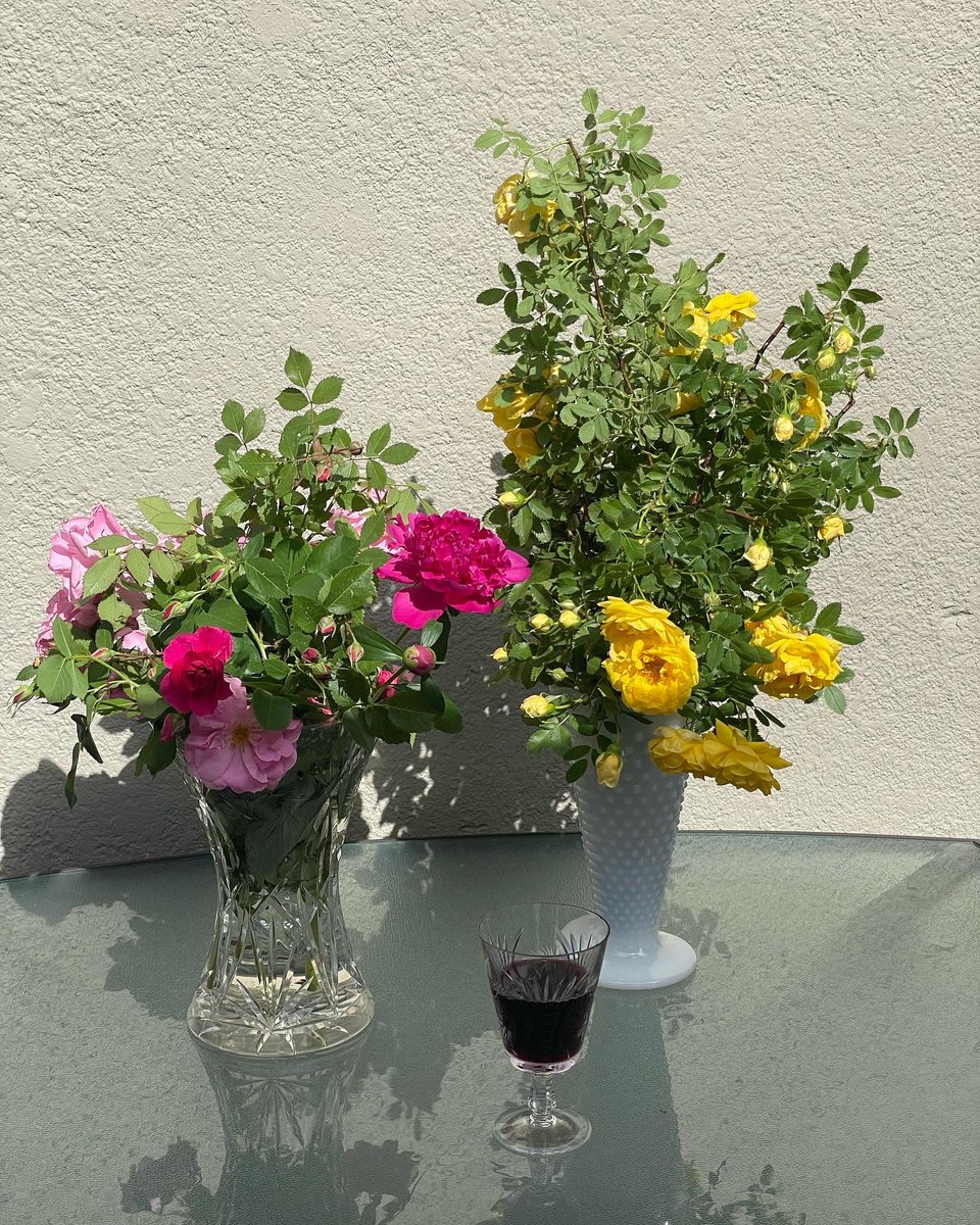 siplkanona's tweet photo. Trimmed the Roses! https://t.co/0lh7ews0bH