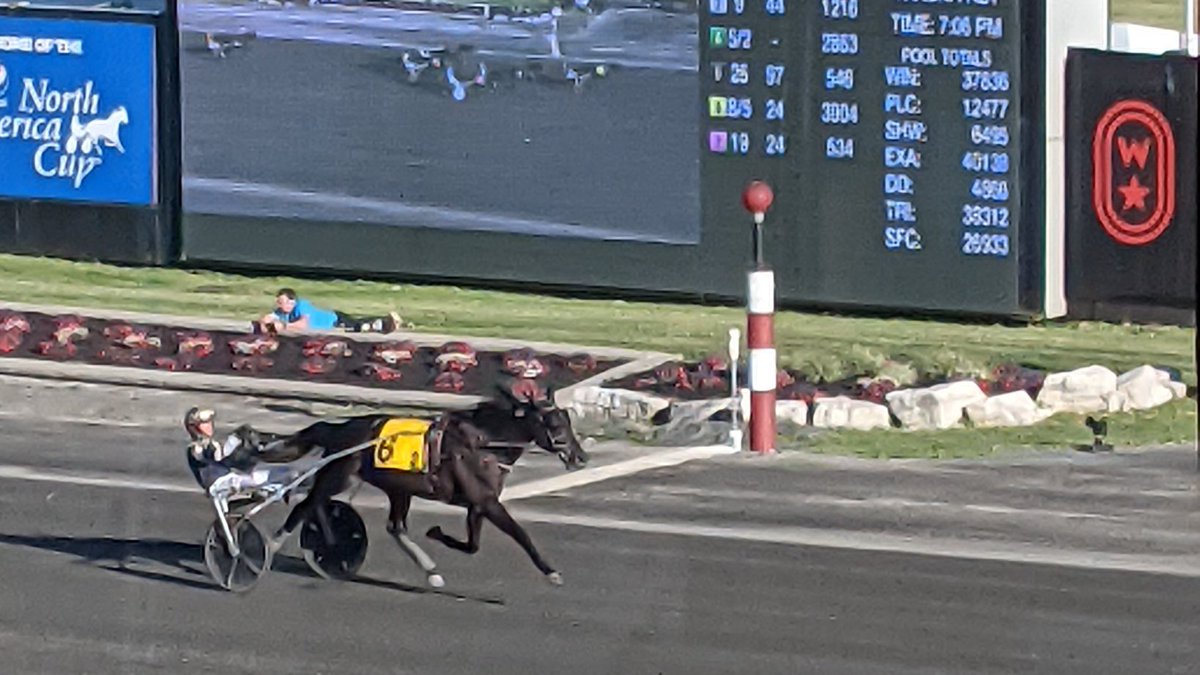 TheTriactor's tweet photo. Those #ForbiddenTrade 🤩 #Views from @WoodbineSB Free For All 🇨🇦:
https://t.co/vMPUog17oq https://t.co/OsJQ6cn3Sj