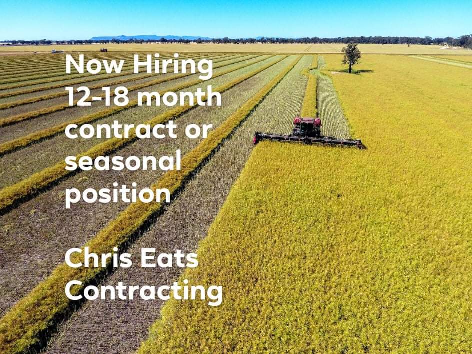 #hiring Tractor operator for our contract Windrowing/Mowing business &amp; farm
• Must have manual driver's license
• Tractor or mechanical experience
• Start Sept 2022 or earlier 
• Wages/hours negotiable
• Accomm supplied
Call Chris 0427 704 550
kateeats.com/chriseatscontr…