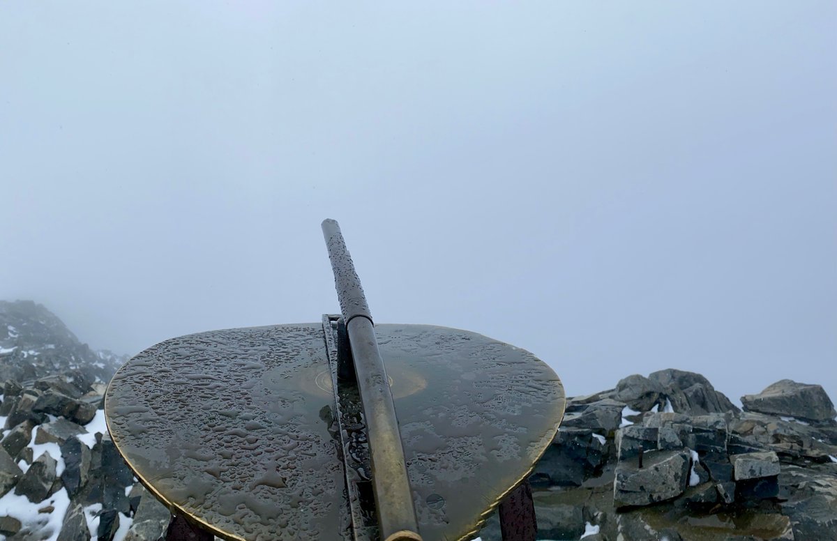 𝙳𝚊𝚟𝚒𝚍 𝙷𝚊𝚖𝚊𝚗𝚗 tweet media