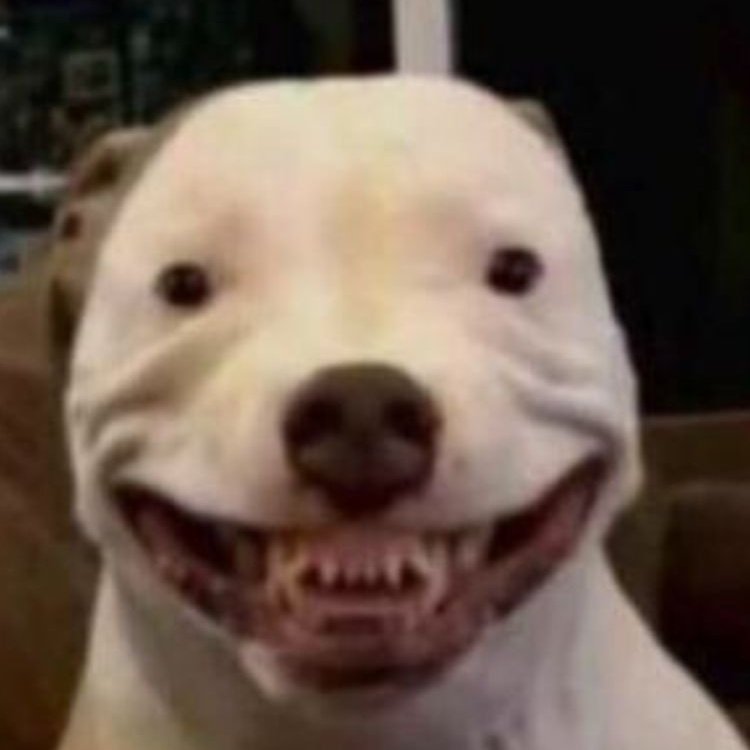 bootneckmart's tweet image. #NewProfilePic