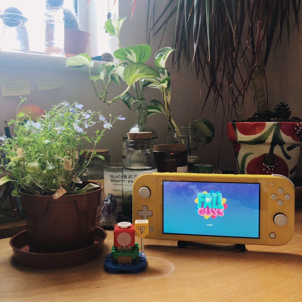 CollectorLandUK's tweet photo. Hope you had a good weekend! I spent most of mine playing Fall Guys as it's now free to download on the Nintendo Eshop 🤩 #FallGuysFreeForAll Definitely not the most chill gaming experience but it's still good fun all the same 🤗 

Have you played Fall Guys yet? Let us know ⬇️⬇️ https://t.co/H9ugufBDfM