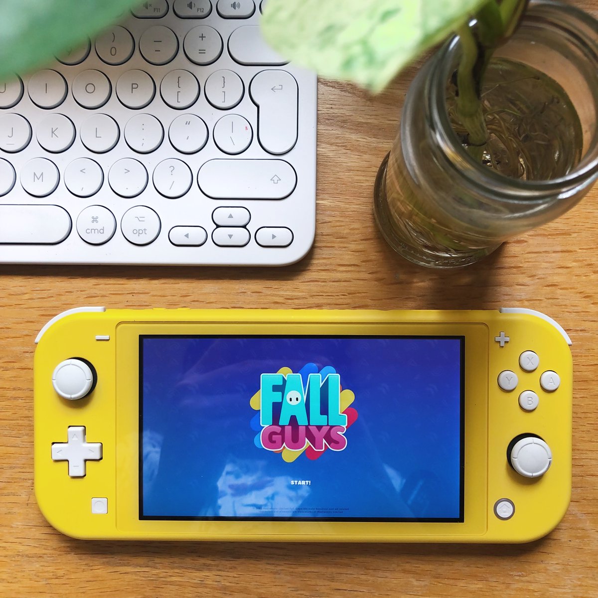 CollectorLandUK's tweet photo. Hope you had a good weekend! I spent most of mine playing Fall Guys as it's now free to download on the Nintendo Eshop 🤩 #FallGuysFreeForAll Definitely not the most chill gaming experience but it's still good fun all the same 🤗 

Have you played Fall Guys yet? Let us know ⬇️⬇️ https://t.co/H9ugufBDfM