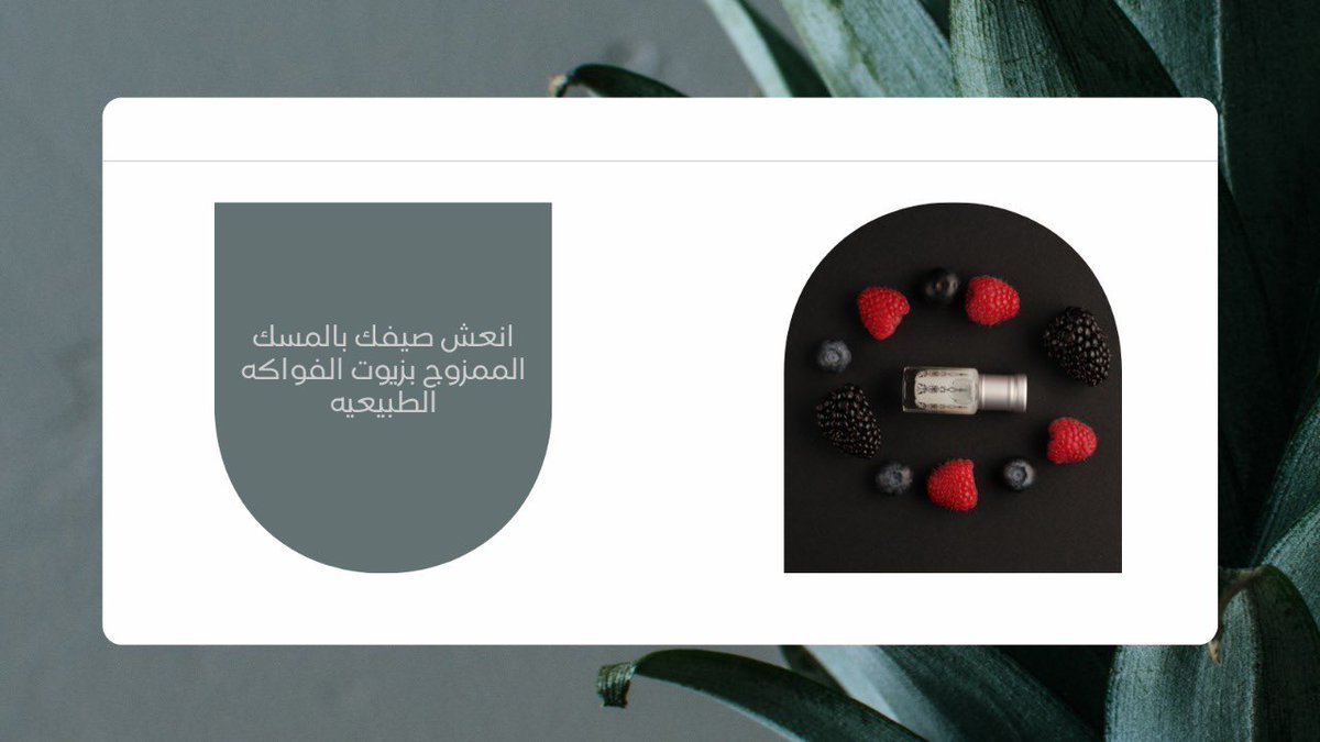Aldana_Musk's tweet photo. انعش صيفك 😍🍃 https://t.co/Zdg5Pyu1La