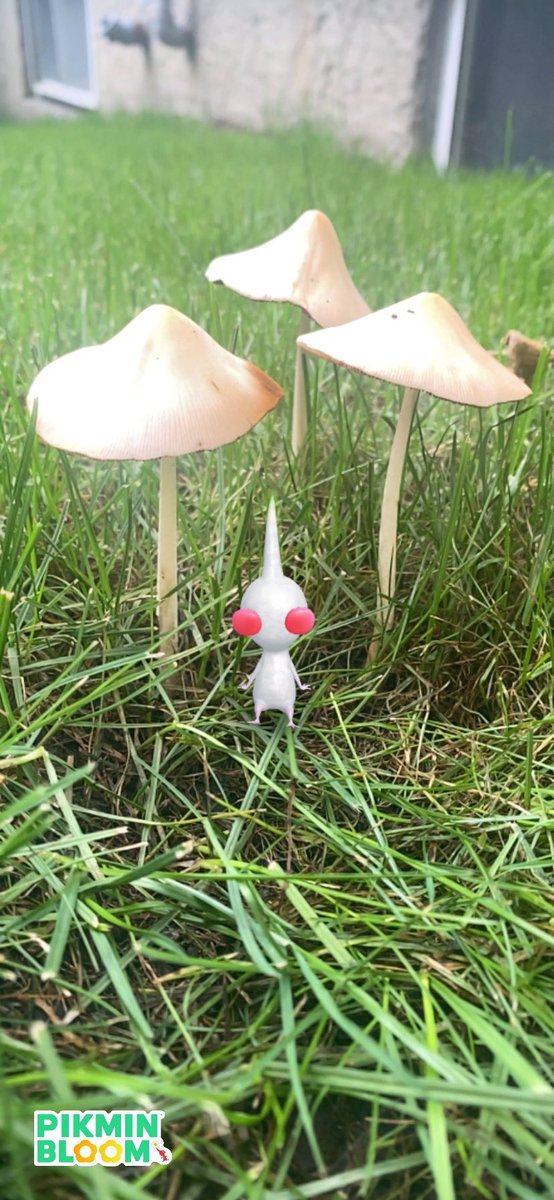 JohnnyTourz's tweet photo. When you think your hanging with your #LeafHat Buddies 🤣🤣

#Niantic #NianticAR #Pikmin #PikminBloom #PikminDecor #WhitePikmin #ピクミンブルーム https://t.co/qUAj0RHL5r