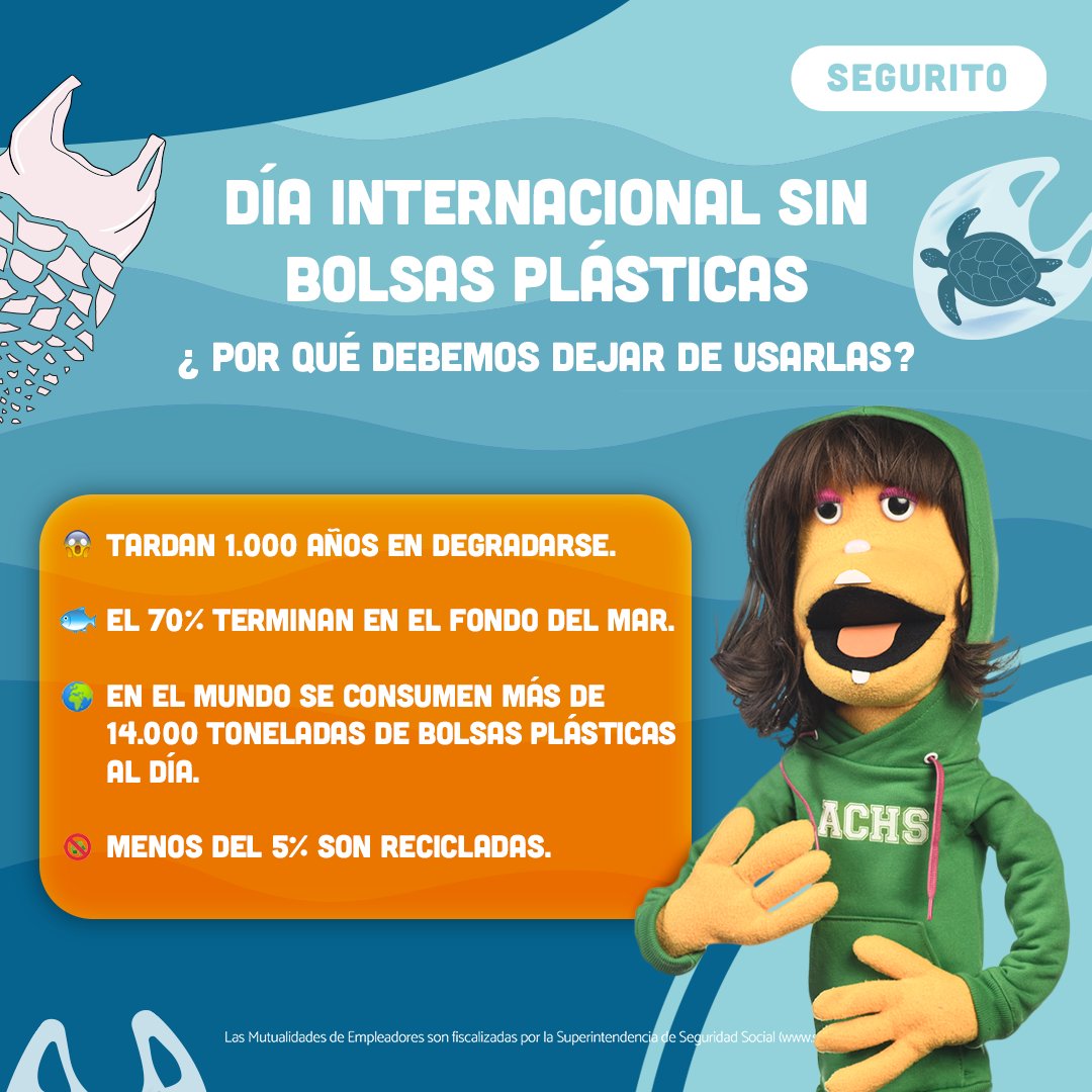 ¡Hoy celebramos el día internacional sin bolsas plásticas! ♻ Recuerda siempre llevar tu bolsa reutilizable cuando vayas a comprar con tu familia para que juntos disminuyamos su uso .☘✊

#Segurito #DíaInternacionalSinBolsasPlásticas