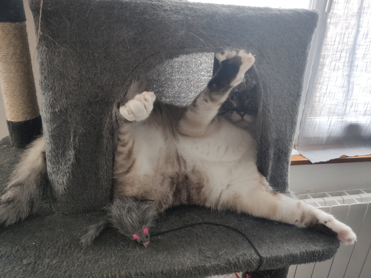 HRBDragibus's tweet photo. @Maghla La 'tite Luna https://t.co/G09jbI1gFY