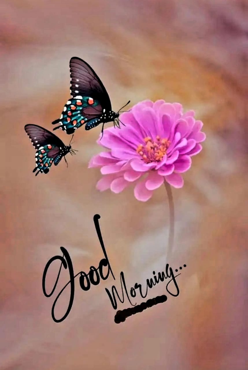 ️🥀 Bhumi 🥀️ on Twitter: 