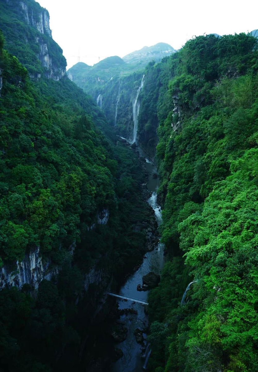 ExpatsHoliday's tweet photo. Maling River Canyon Scenic Spot in Guizhou is famous for its karst features and deep rift with waterfalls. The best time to drift along Maling River is from June to October. #China #travelphotography #Guizhou #travelinchina https://t.co/RyvyTTDdGc