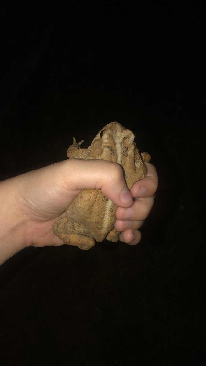 It’s dangerous to go alone take this