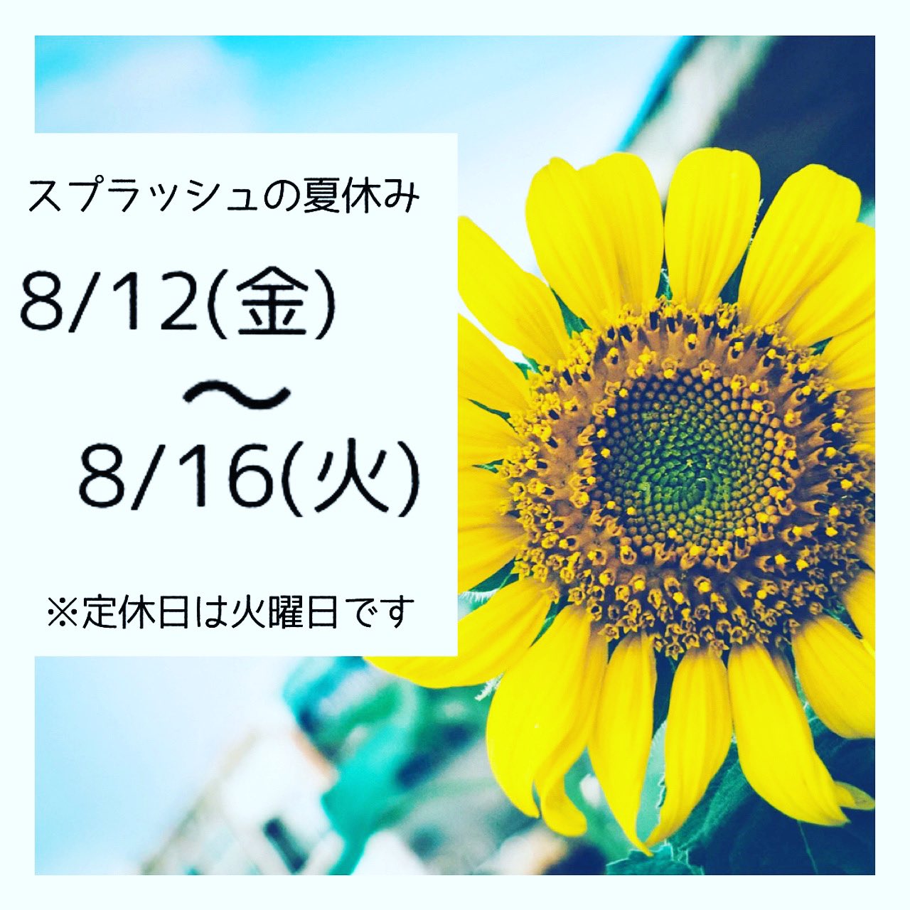 美容室スプラッシュ Twitter Search Twitter