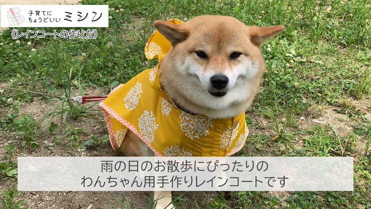 アックスヤマザキ 公式 Axeyamazaki1946 Twitter