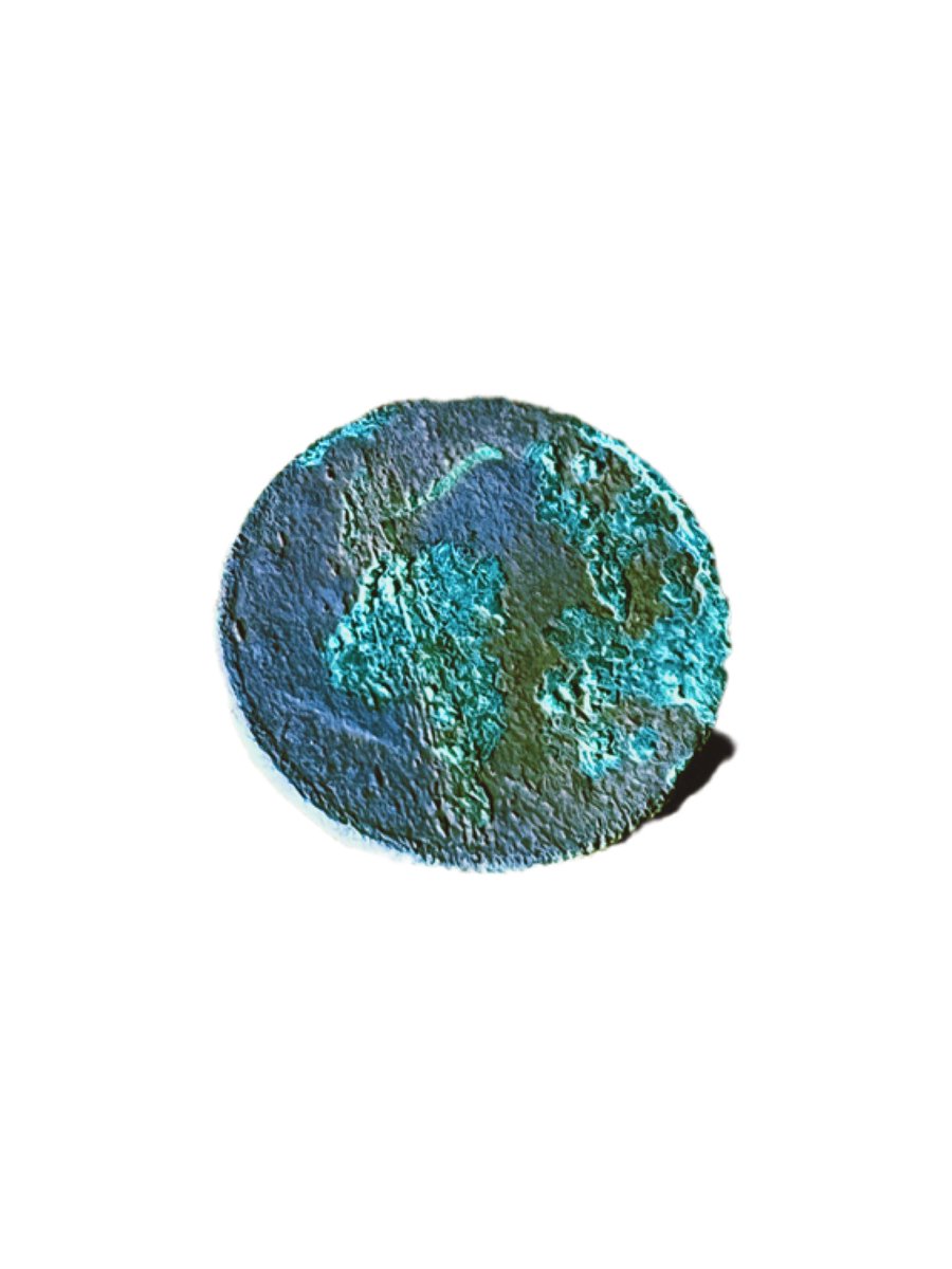 SCVMD & Adventures tweet media