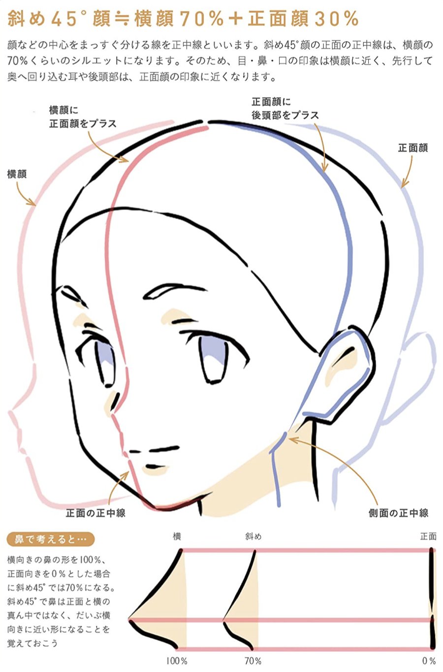 アニメ私塾 斜め45度の顔は横顔の70 横顔の輪郭線の約70 が斜め顔45度の正中線になる さらに正面顔 の輪郭線の70 が斜め顔45度の側面線になる 理屈を知ることで絵を見る目が爆上がりして上手くなる 画像は顔の描き方ノウハウ凝縮新刊 最強