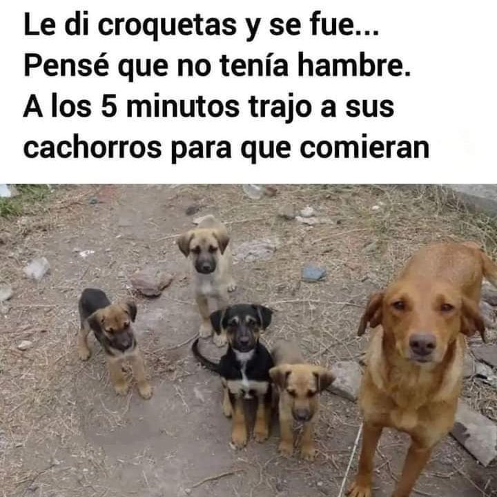 Así son, por eso no los merecemos🥹