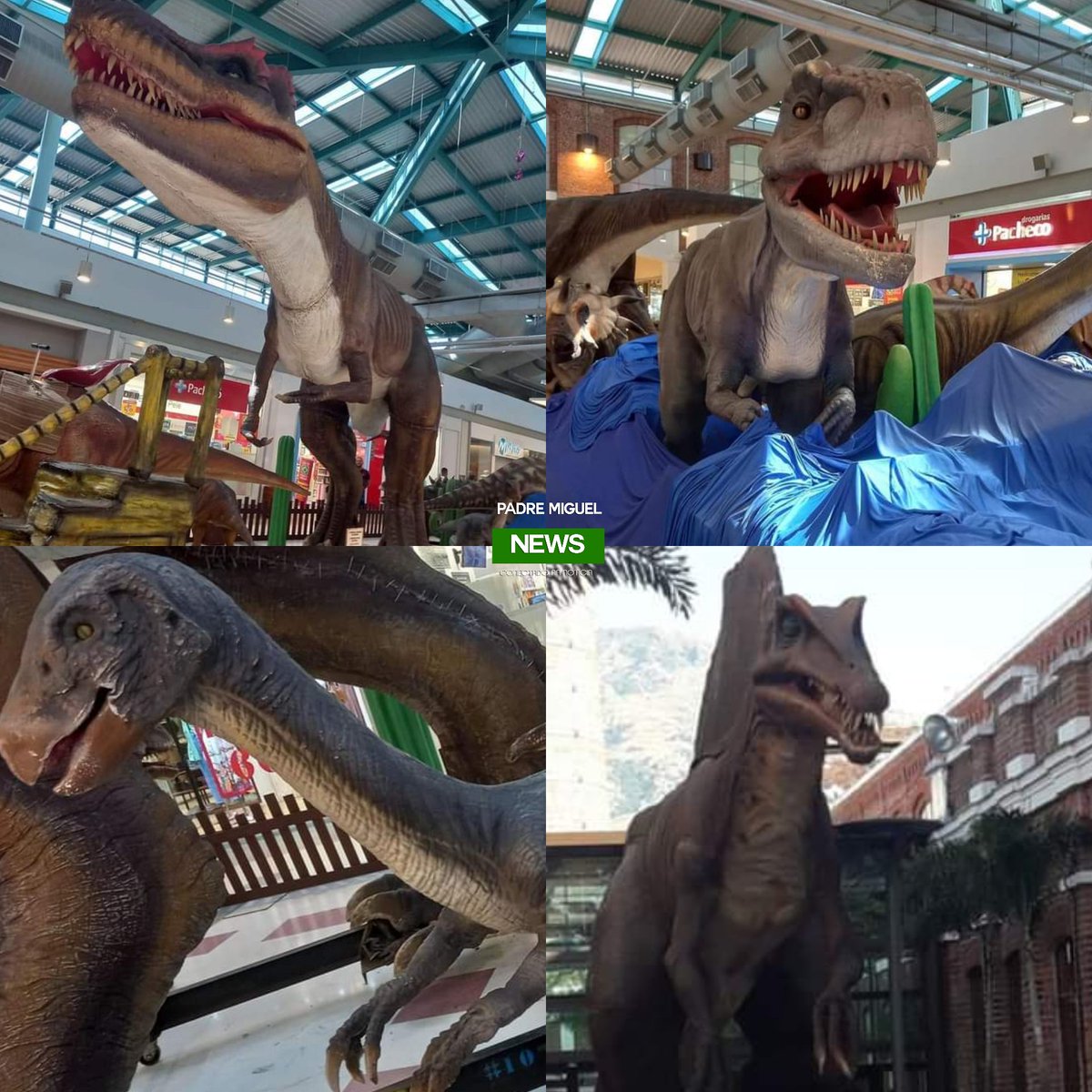 Nova atração no Shopping de Bangu🦖