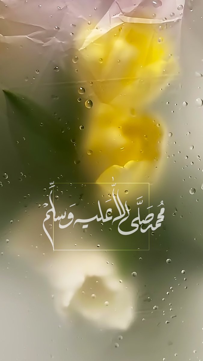 MuhibulMusthafa's tweet photo. @Awn_Qaddoumi https://t.co/TTCXX01bd3