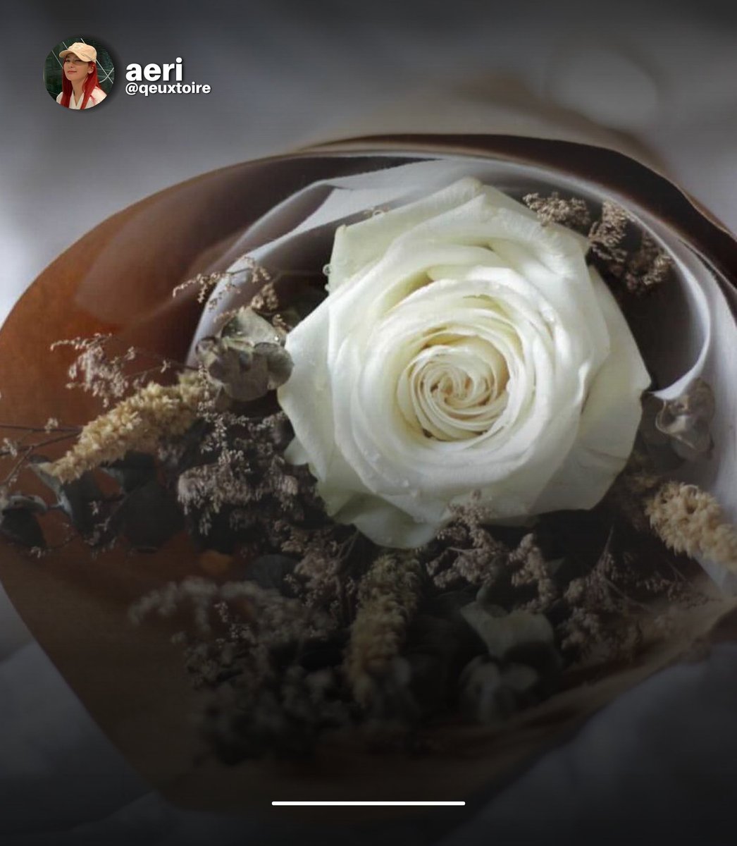 ︎ ︎ ︎
 ︎ ︎ ︎ 
     <a href="/qeuxtoire/">ً</a> ╱ sns update !
͏͏͏͏͏͏     ◷  09 : 32 —— 04/07/2022
     ⌕  Solaire Resort
     ≡  these awaited me the moment
         i woke up, a pretty bouquet. ♡
ㅤ ㅤ
ㅤ